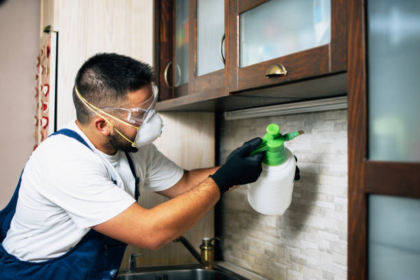 Best Pest Control Near Me  in Middleburg Heights, OH