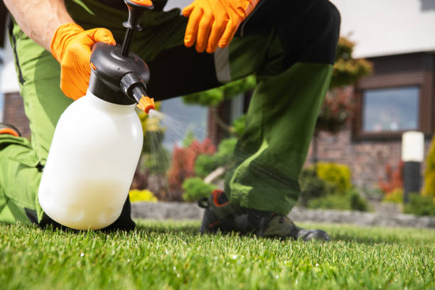 Best Pest Prevention Services  in Middleburg Heights, OH