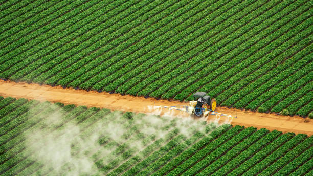 Best Pest Control for Businesses  in Middleburg Heights, OH