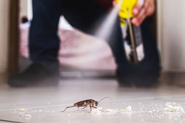 Best Cockroach Control Services  in Middleburg Heights, OH