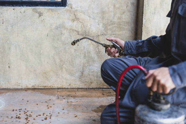 Best Best Pest Control Companies  in Middleburg Heights, OH